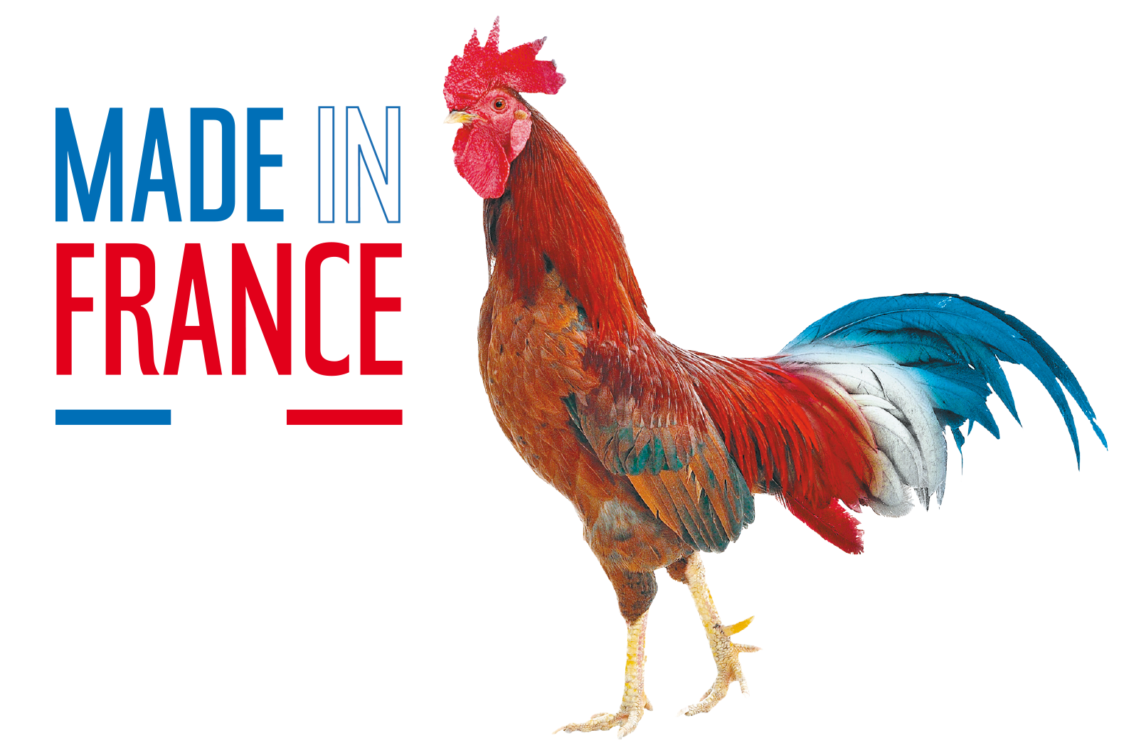 Made In France
